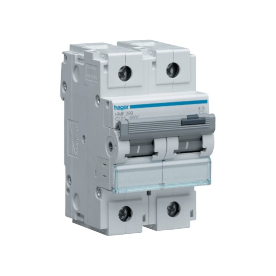Automatski osigurač 125A, 2p, 10kA, C karakteristika